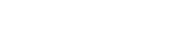 University of Turku